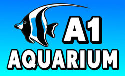 A1 Aquarium World